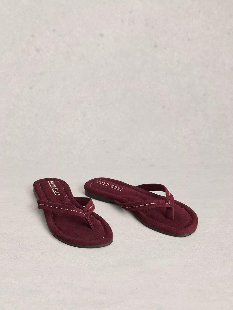 Bay Sandals in DK PLUM - FLAT FRONT