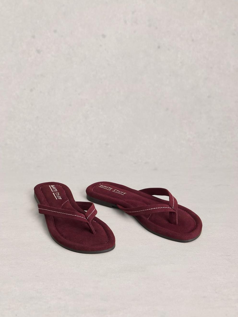 Bay Sandals in DK PLUM - FLAT FRONT