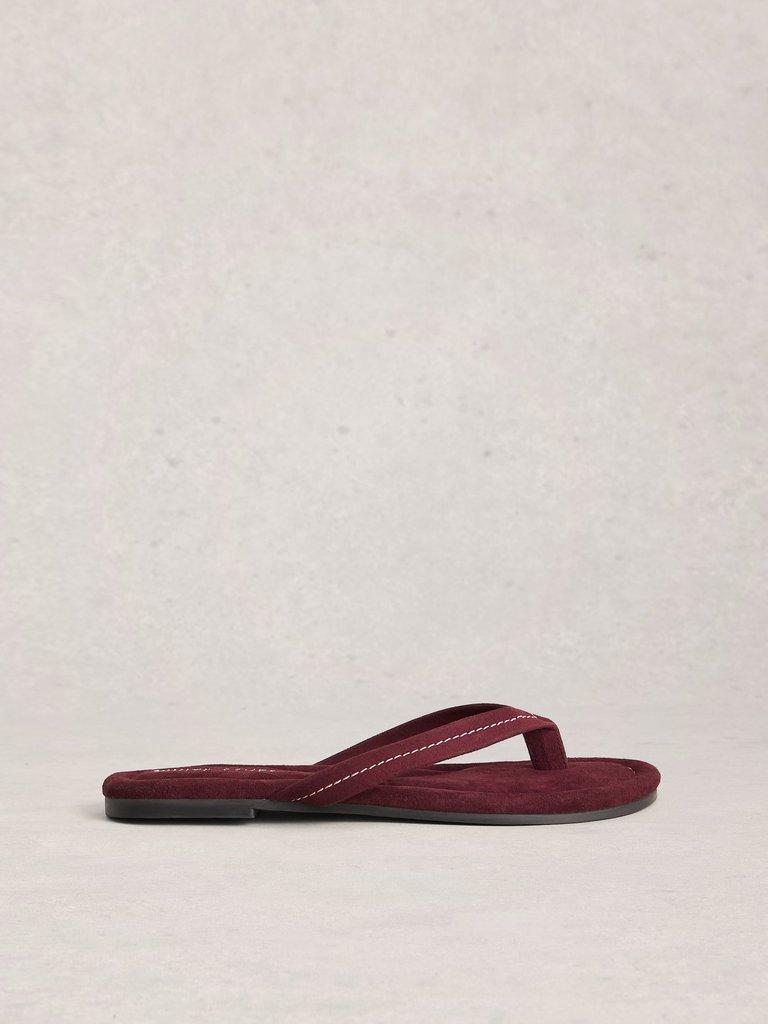 Bay Sandals in DK PLUM - LIFESTYLE