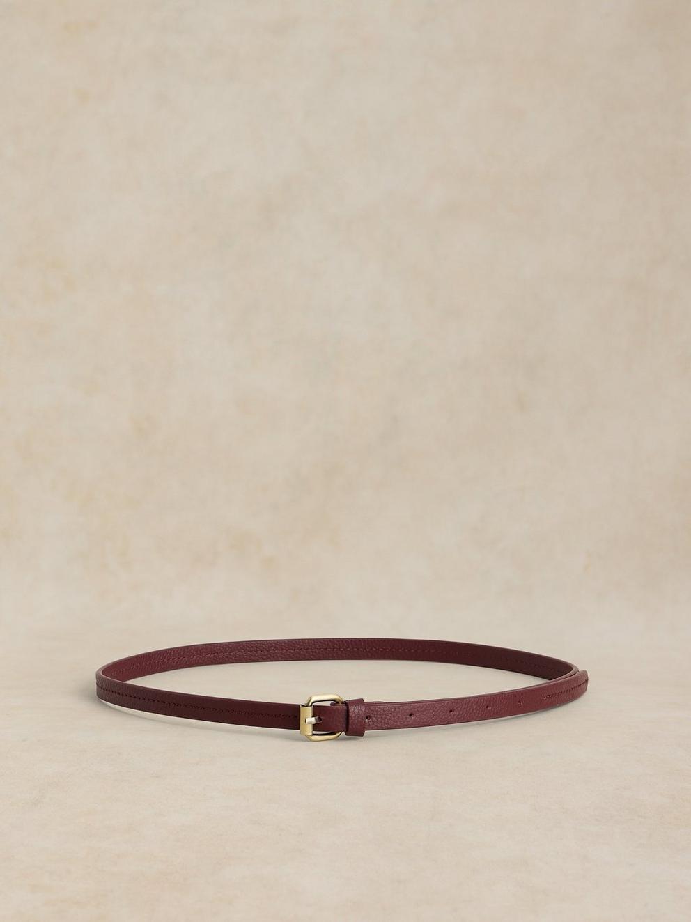 2PK BELTS in BROWN MLT - FLAT BACK