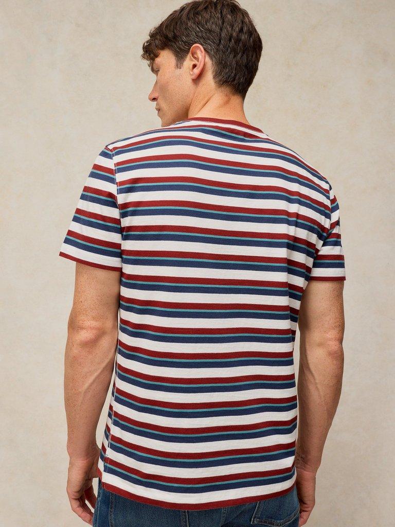 ABERSOCH STRIPE TEE in IVORY MLT - MODEL BACK