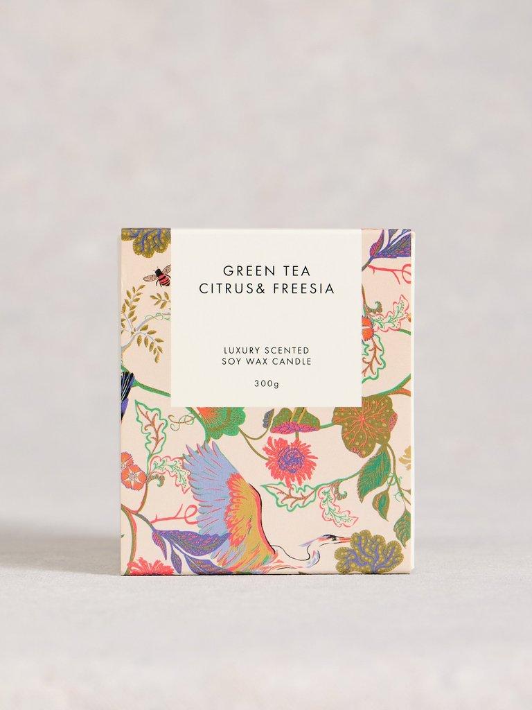 Inside Story Candle in IVORY PR - FLAT FRONT