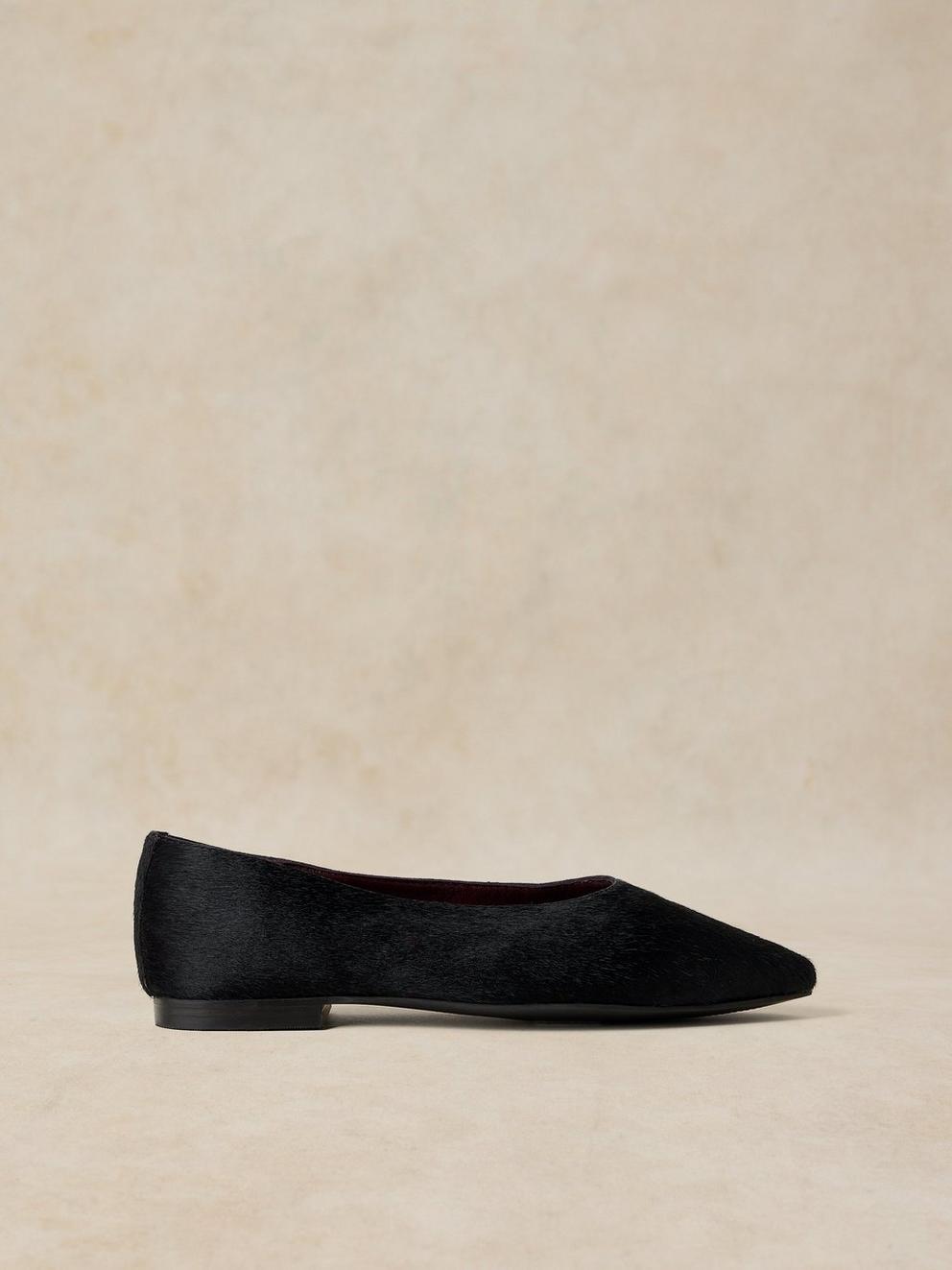 POINTED BALLERINA in BLK MLT - LIFESTYLE