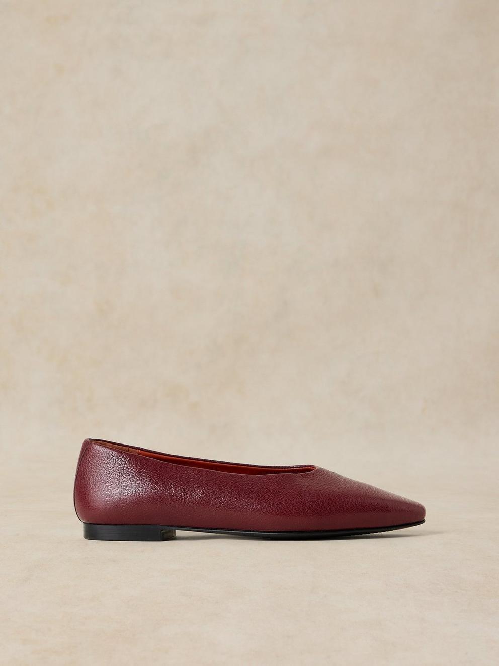 POINTED BALLERINA in DK RED - LIFESTYLE