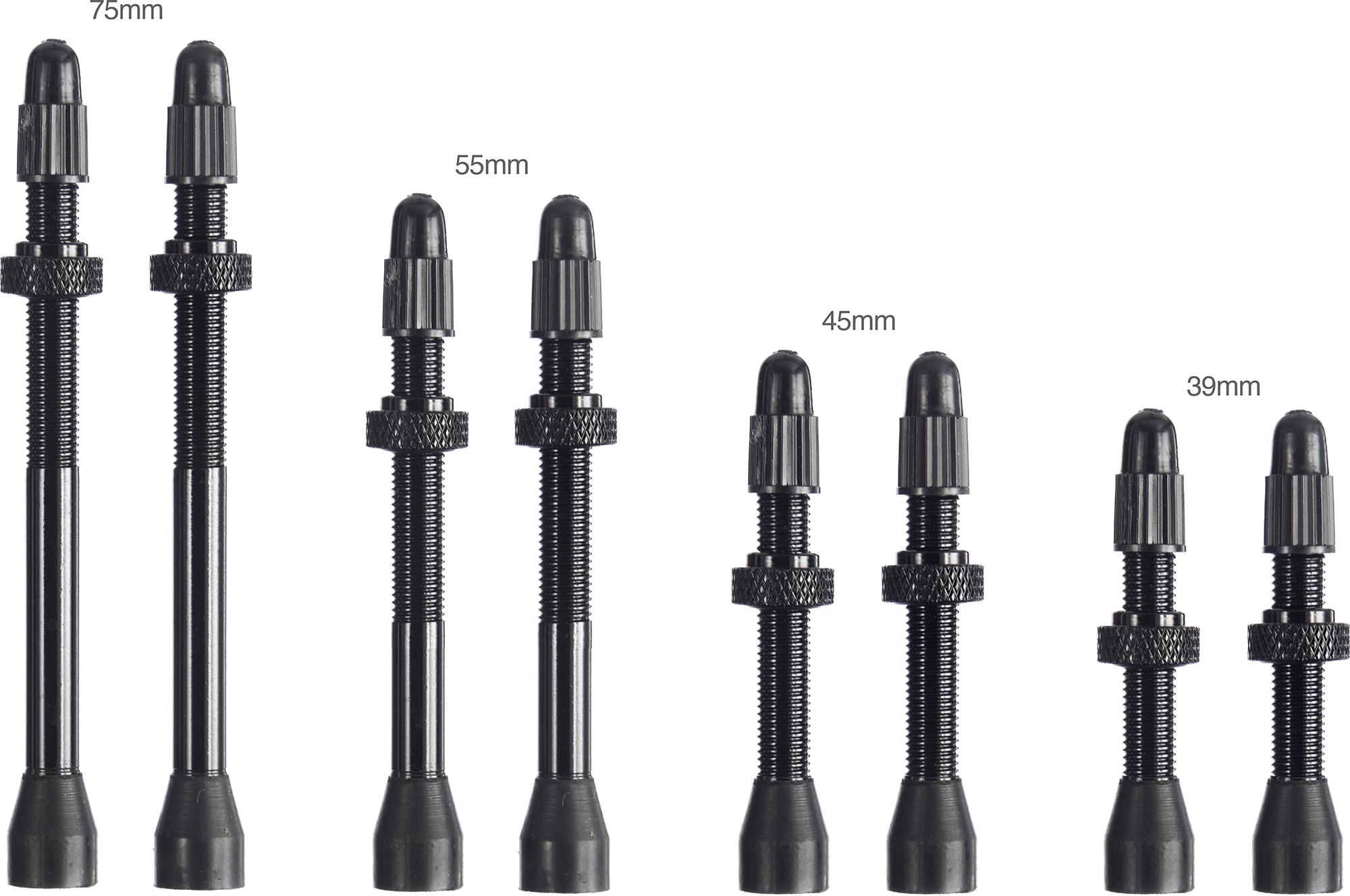 Click to view product details and reviews for Lifeline Universal Tubeless Presta Valves Pair Black.