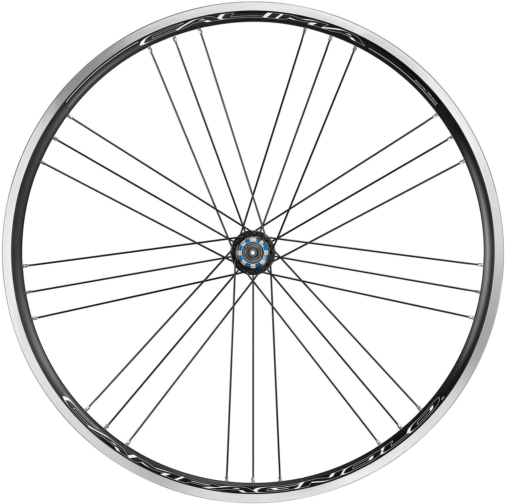 Wiggle campagnolo sale wheels