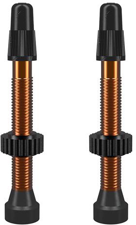WTB TCS AL Tubeless Presta Valve