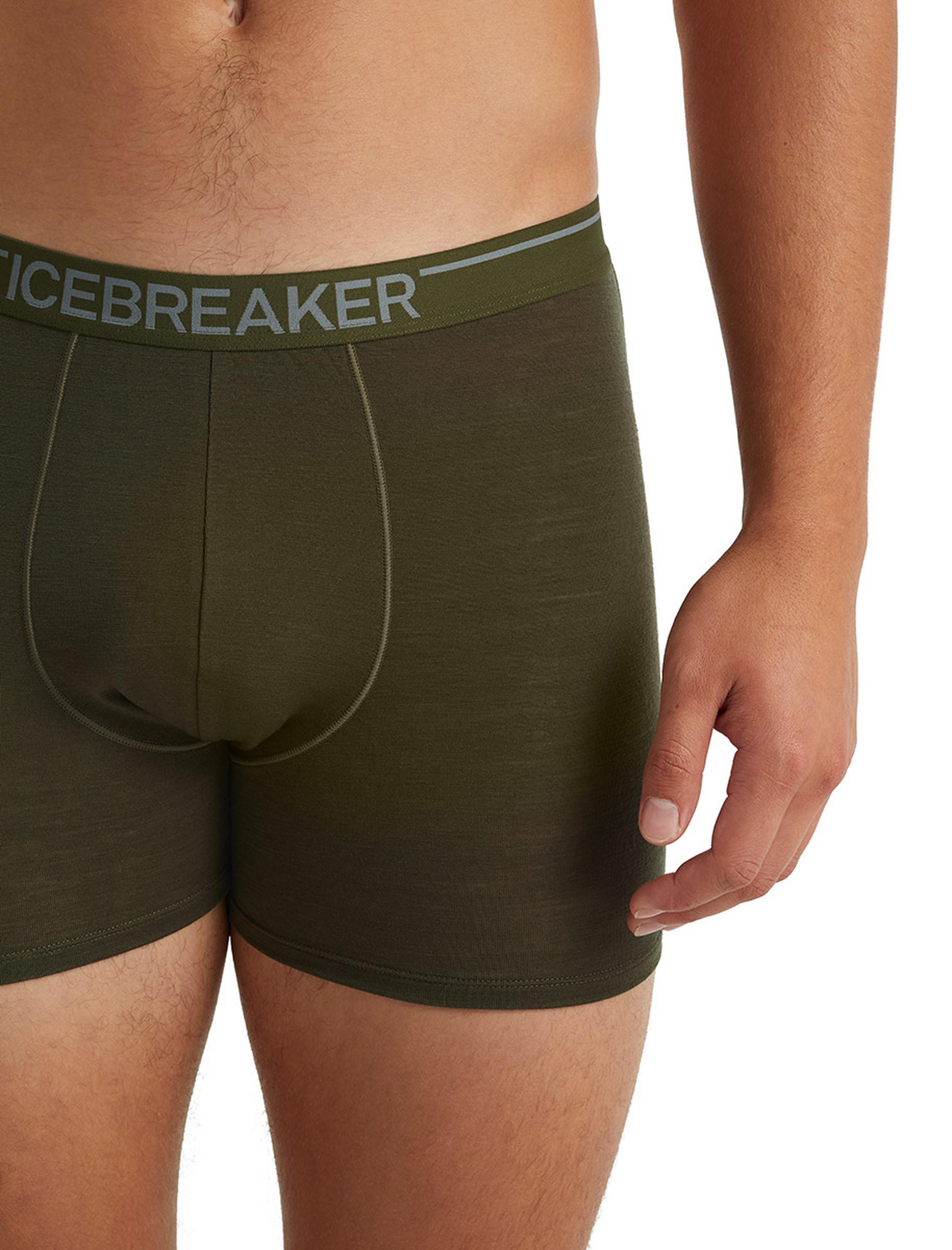 Icebreaker - Anatomica Briefs - Underwear - Men's