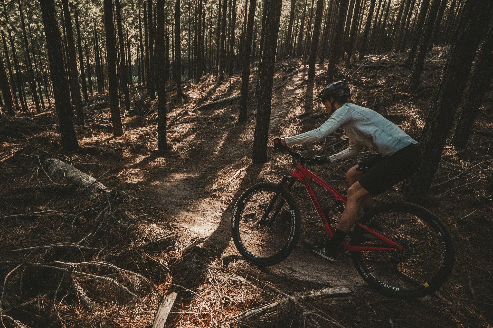 goodyear peak mtb tire