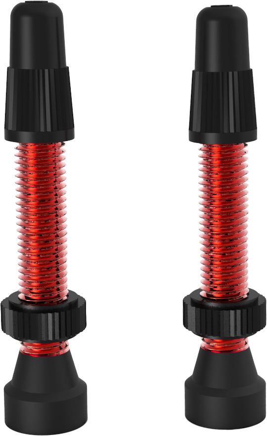 WTB TCS Tubeless Presta Valve (Pair)