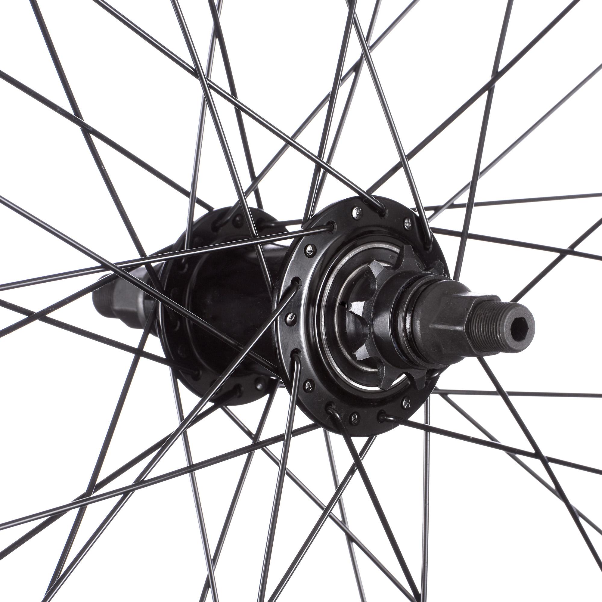 Blank Generation Freecoaster Wheel Wiggle