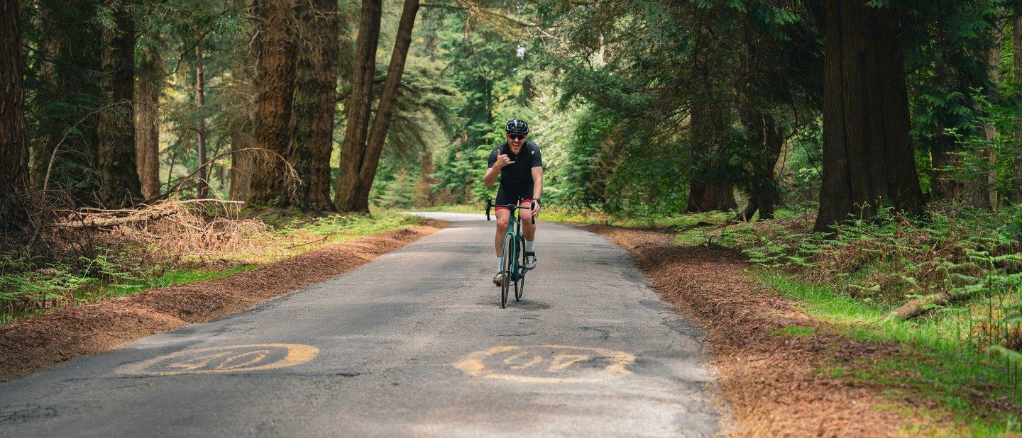 New forest sale road cycle routes