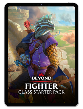 Fighter Starter Pack