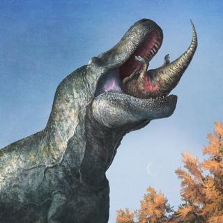 Dr Dhrolin’s Dictionary of Dinosaurs