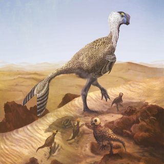 Dr Dhrolin’s Dictionary of Dinosaurs