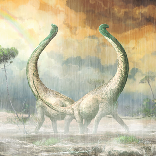 Dr Dhrolin’s Dictionary of Dinosaurs