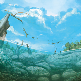 Dr Dhrolin’s Dictionary of Dinosaurs