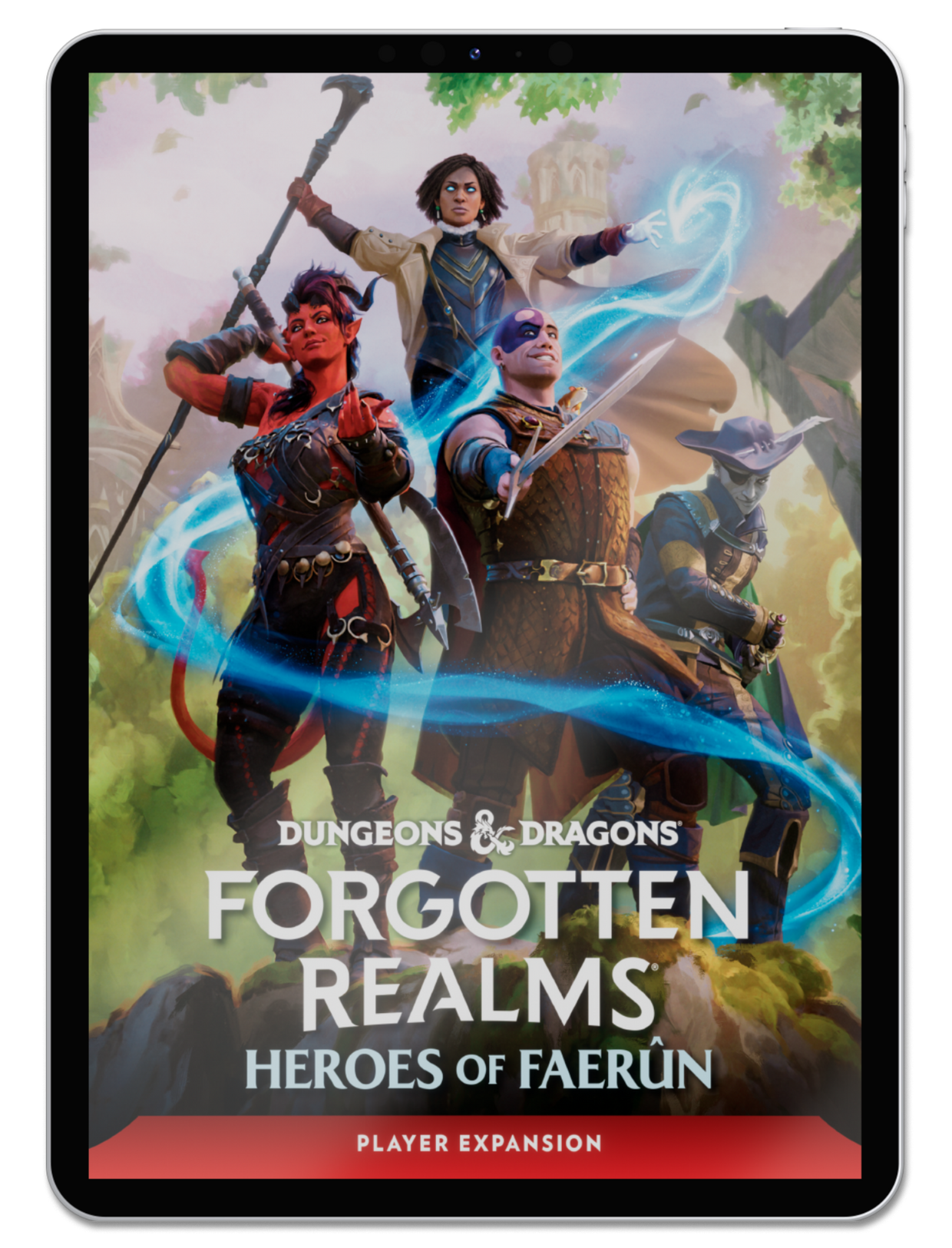 Forgotten Realms: Heroes of Faerûn