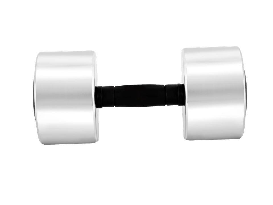 Wansa, 5kg Training Dumbbell, DF002-5KG – Silver