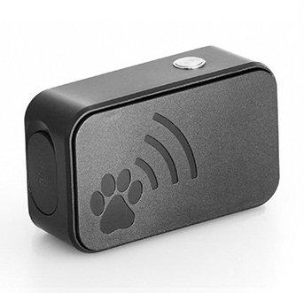 G paws pet tracker hotsell