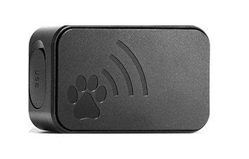 GPaws Pet GPS Tracker Price in Kuwait Xcite Alghanim