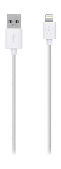 Apple CAVO DI RICARICA USB-C DA 240W (2 M) MYQT3ZM/A - Mister Web