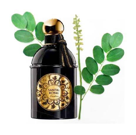 عطر سانتال رويال من جيرلان للنساء ١٢٥ مل مركز