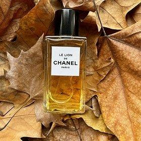 Chanel Le Lion Women's EDP 200ml | Xcite