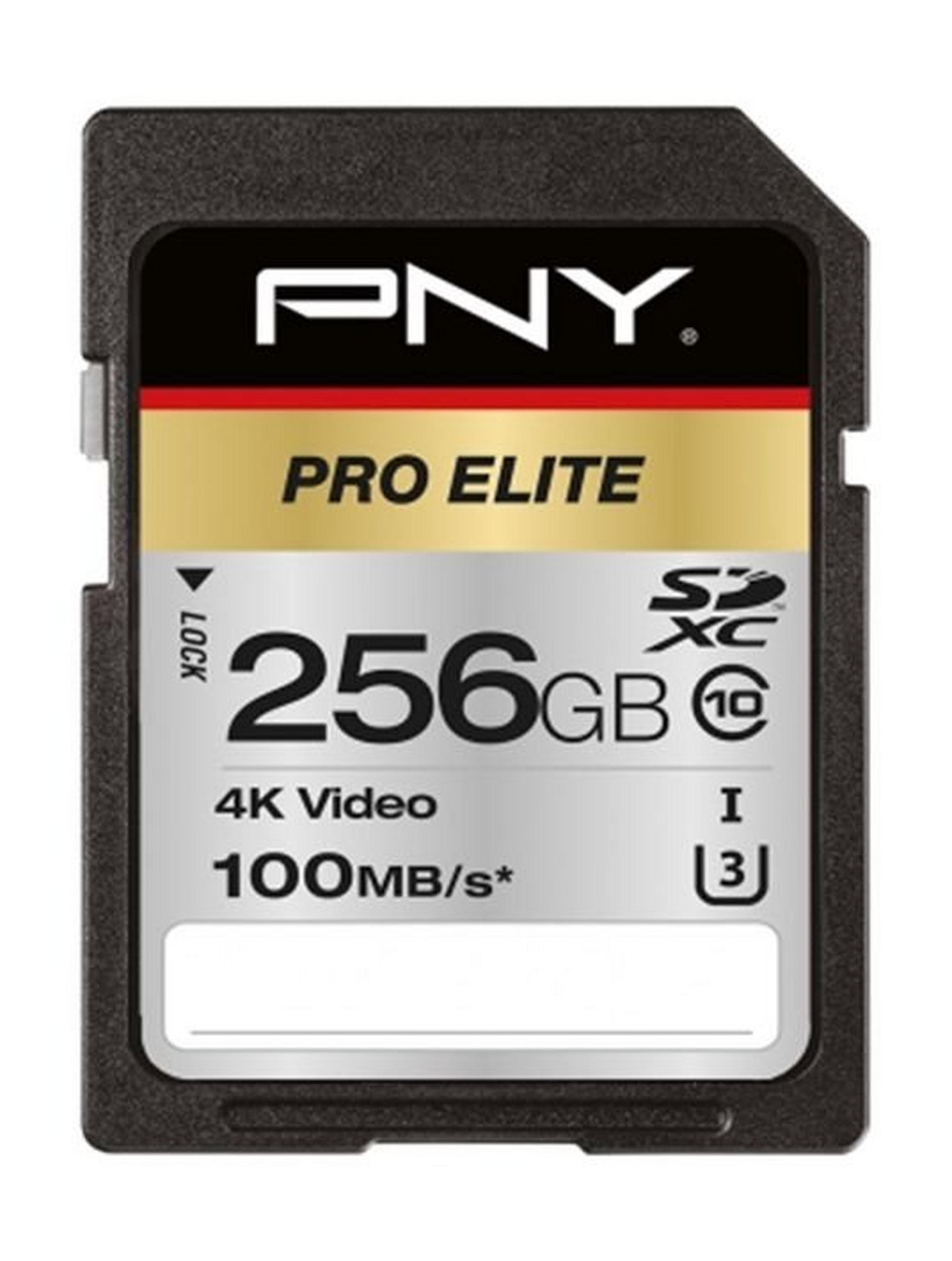 Pny Pro Elite Class 10 SDXC Memory Card - 256GB