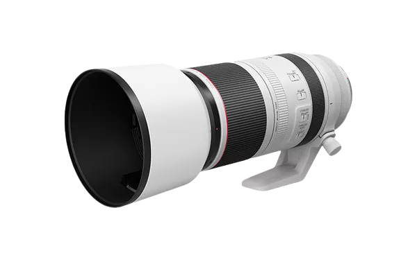 Canon RF 100-500MM F4.5-7.1 L IS USM Lens