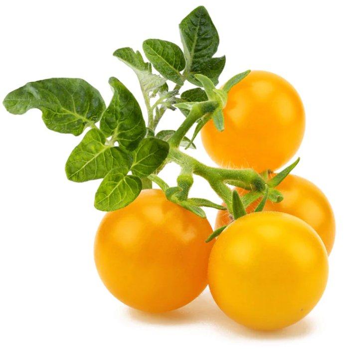 Buy Click and grow plant pods, 3-pack, sgr57x3 – yellow tomato in Kuwait