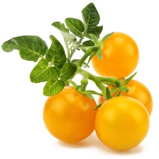 اشتري كبسولات نباتية من كليك أند غرو, 3 قطع, sgr57x3  – طماطم صفراء في الكويت