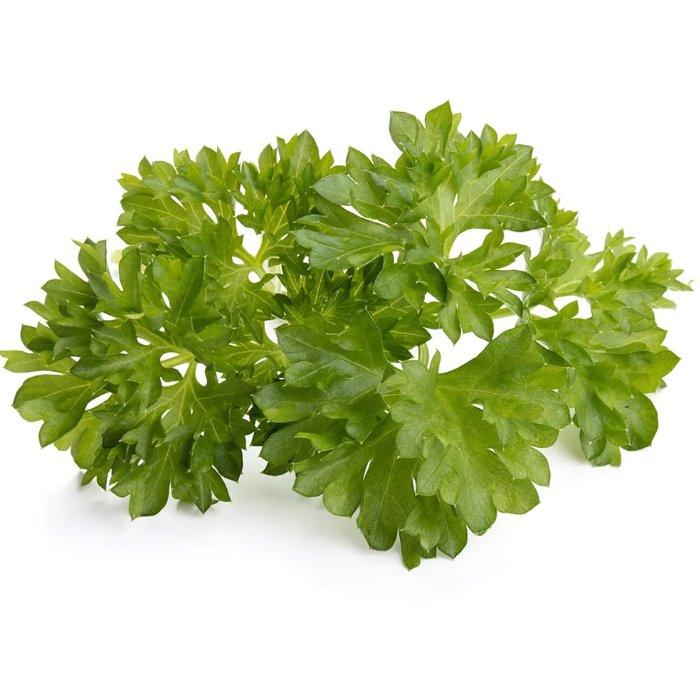 Buy Click and grow plant pods, 3-pack, sgr13x3 – parsley in Kuwait