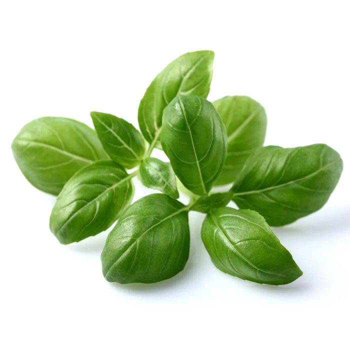Buy Click and grow plant pods, 3-pack, sgr3x3 – basil in Kuwait