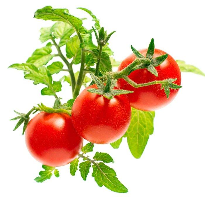 Buy Click and grow plant pods, 3-pack, sgr5x3 – mini tomato in Kuwait