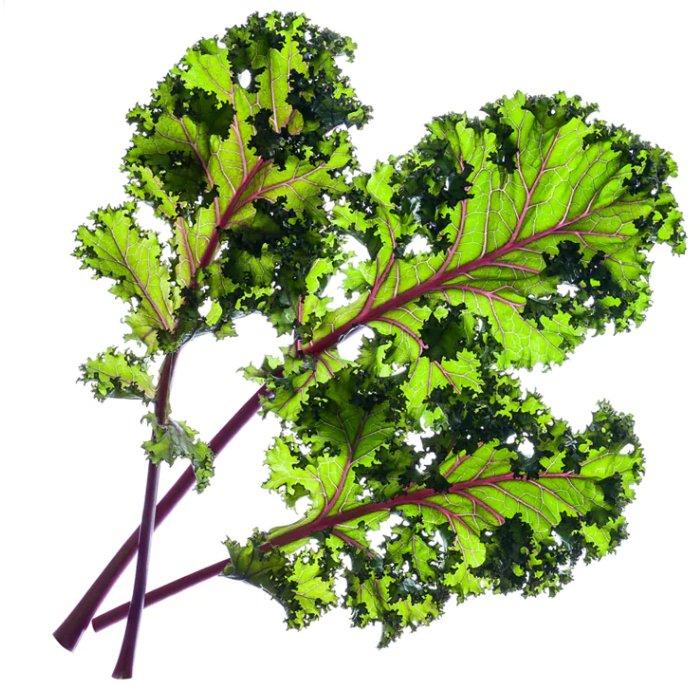 Click And Grow Plant Pods, 3-Pack, SGR47X3 – Red Kale