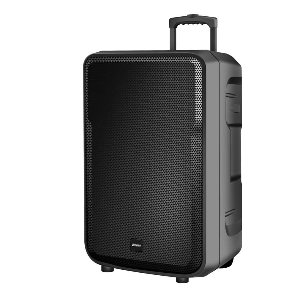 Wansa 15-Inch Trolley Speaker, 120W - Black