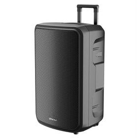 Powerful Audio with the Wansa Trolley Speaker