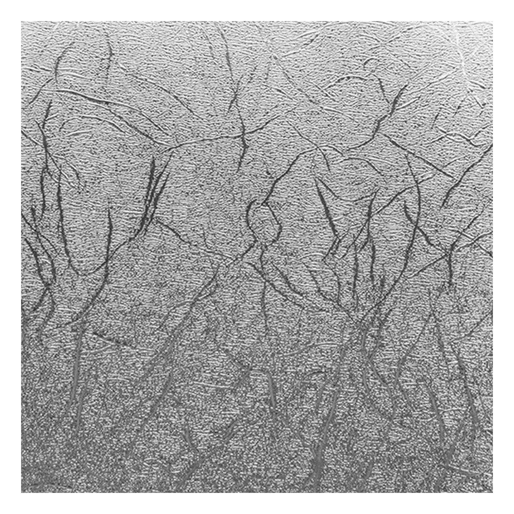 Cricut Premium Vinyl 30.5x61cm Sheets, 3-sheets - 2007743