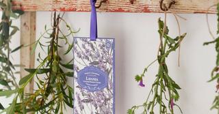 Buy Castlebel fragranced lavender sachet in Kuwait