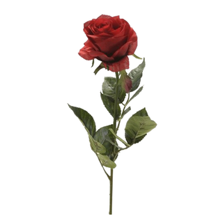 اشتري غصن وردة روز سيمون - أحمر في الكويت