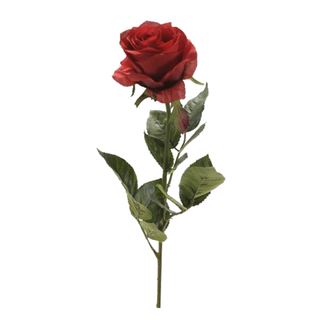 Buy Rose simone red single-stem in Kuwait