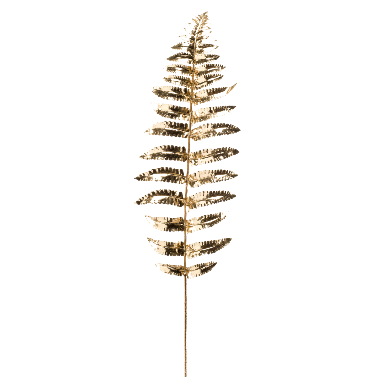 product_images
