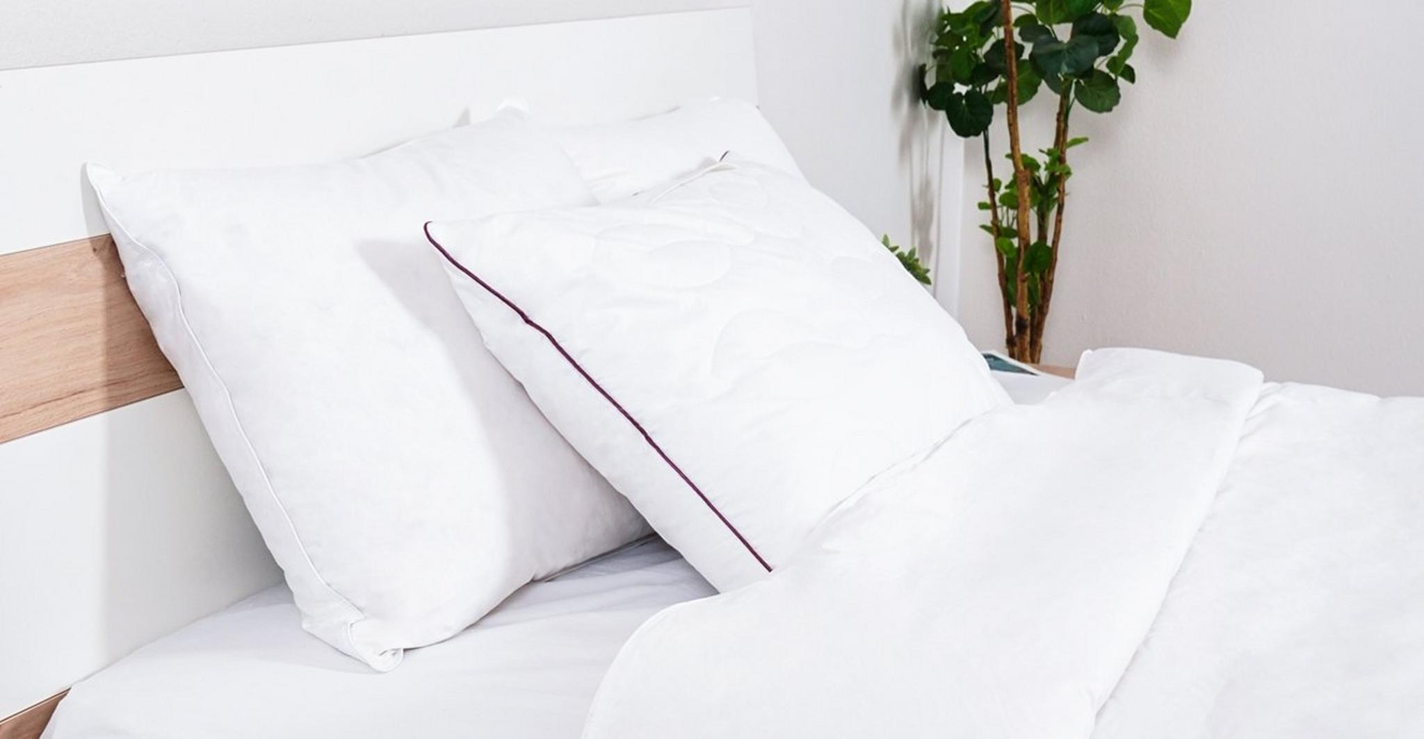 Lavendar Aromatherapy Pillow 50 x 75 Cm