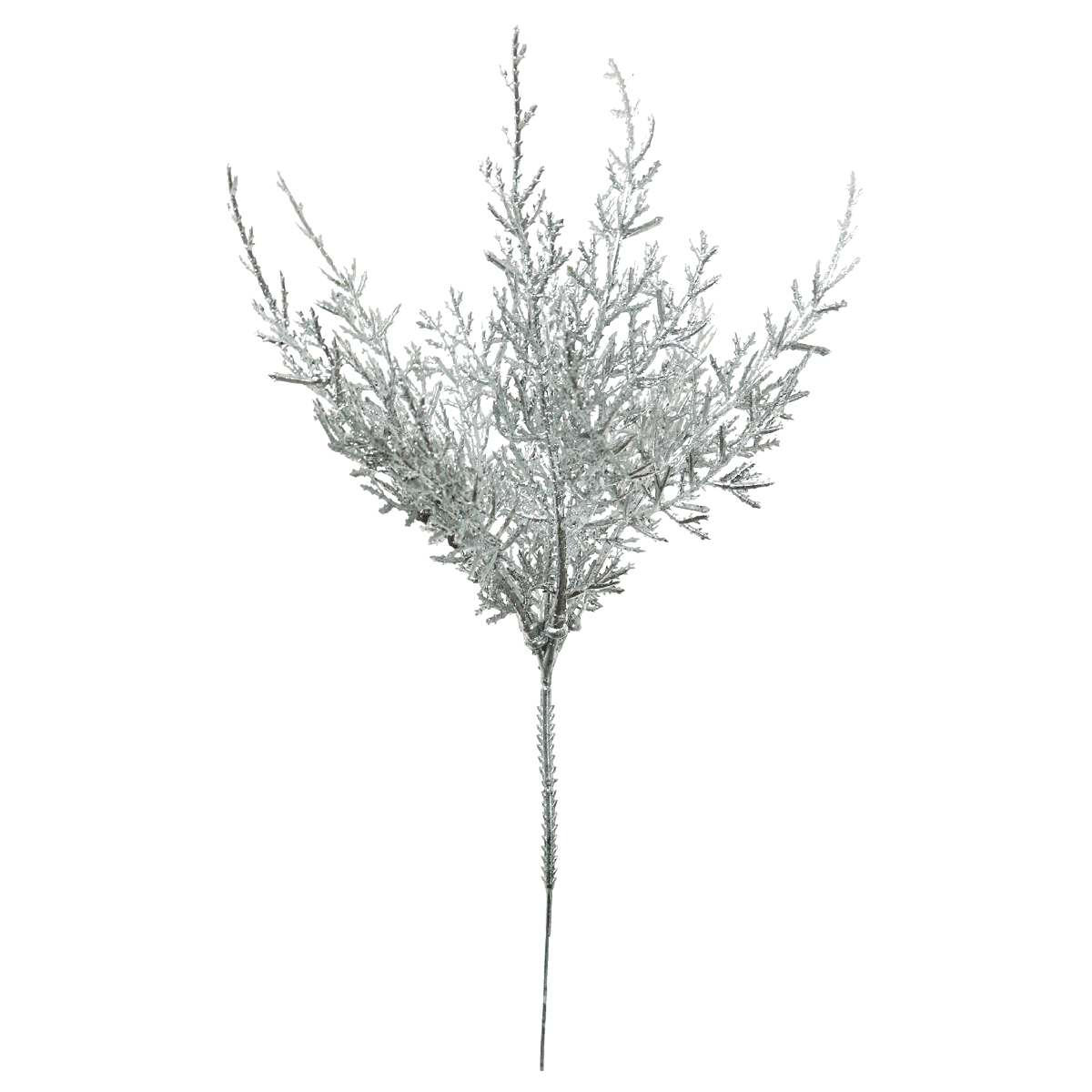 product_images