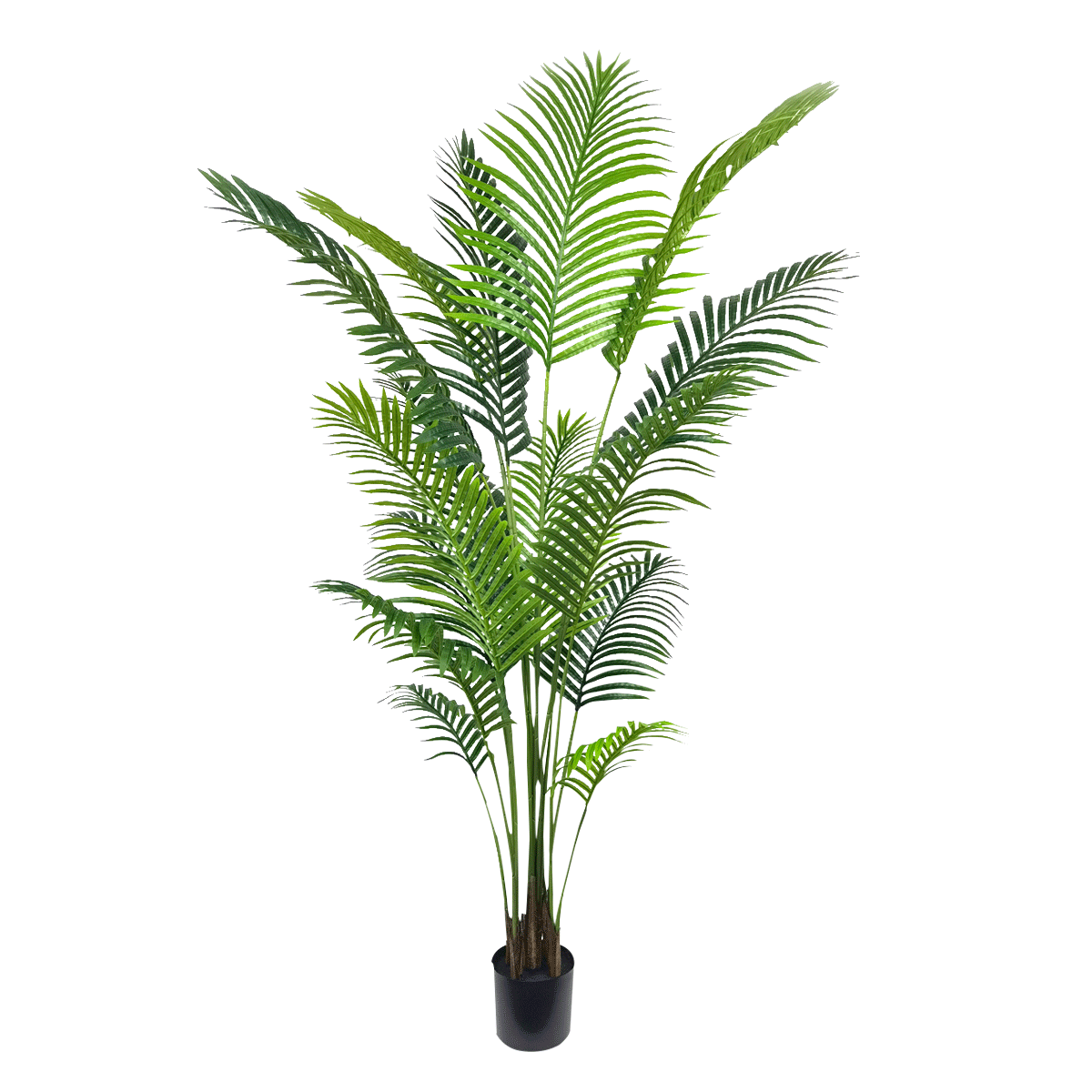 product_images