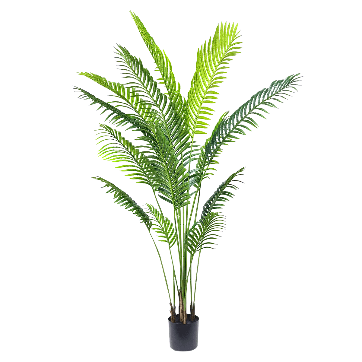 product_images