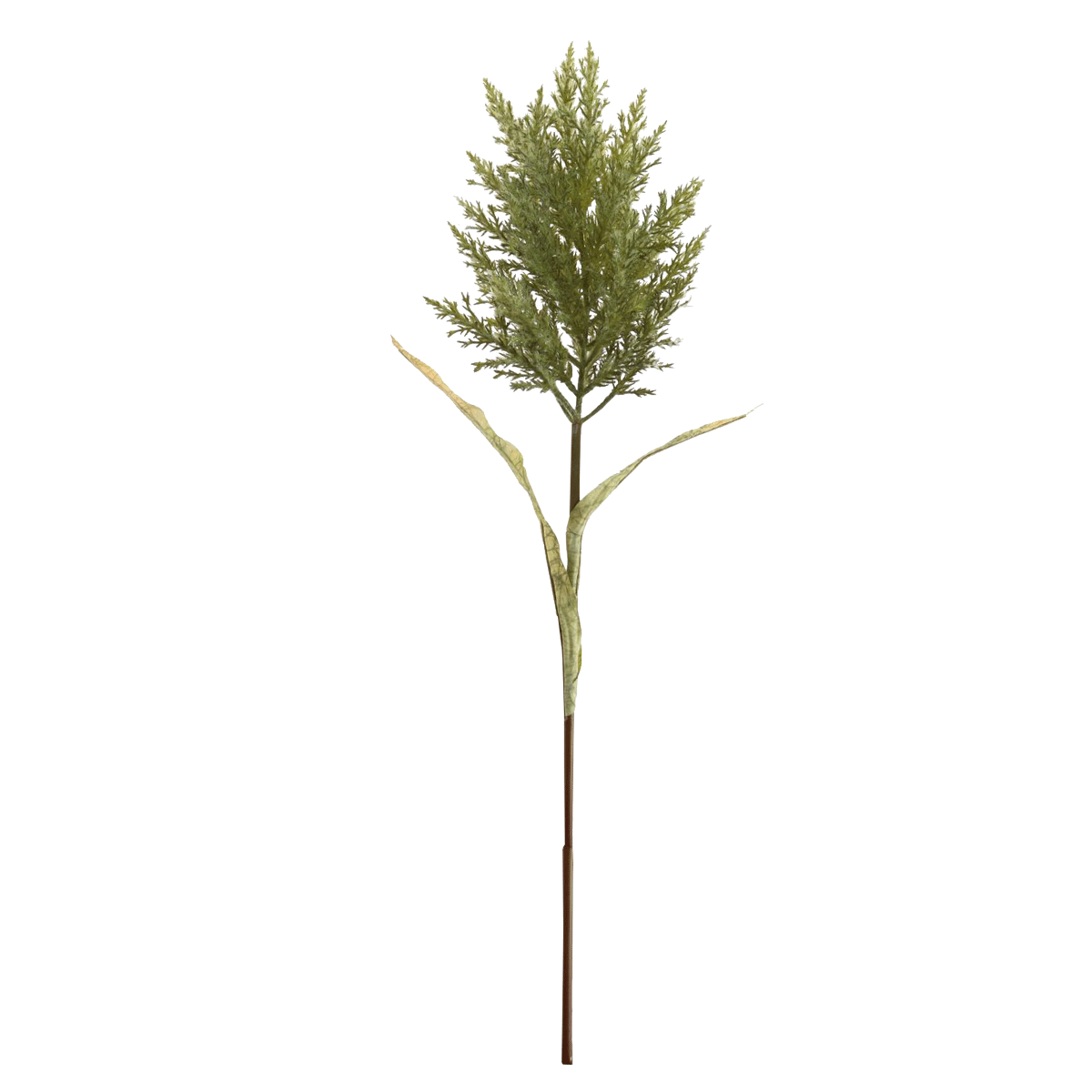 product_images