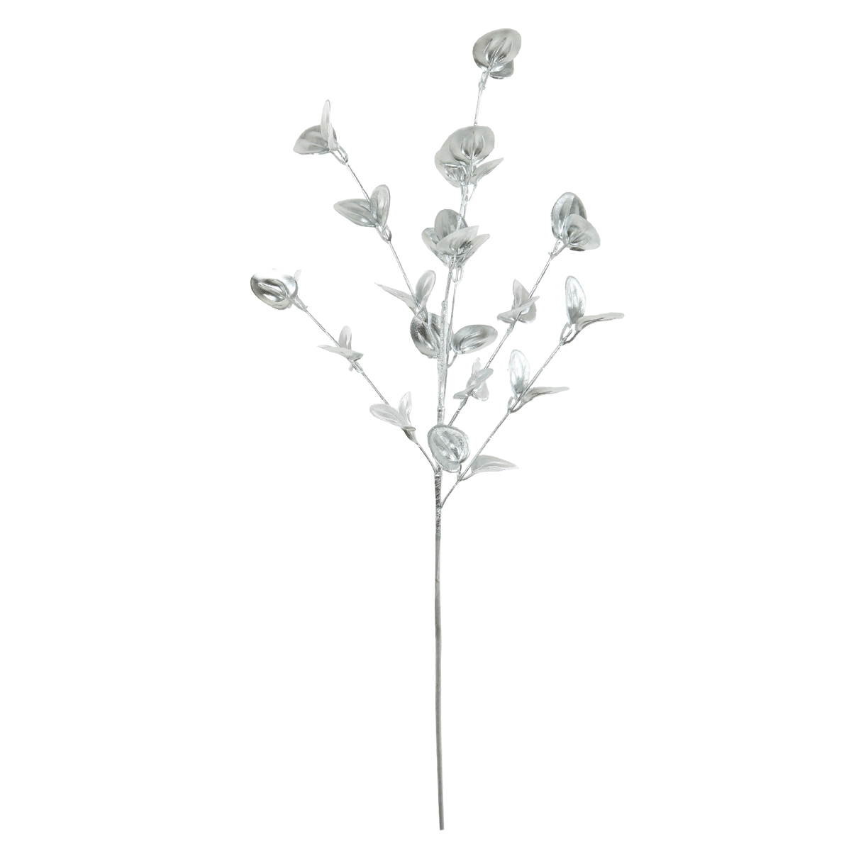 product_images