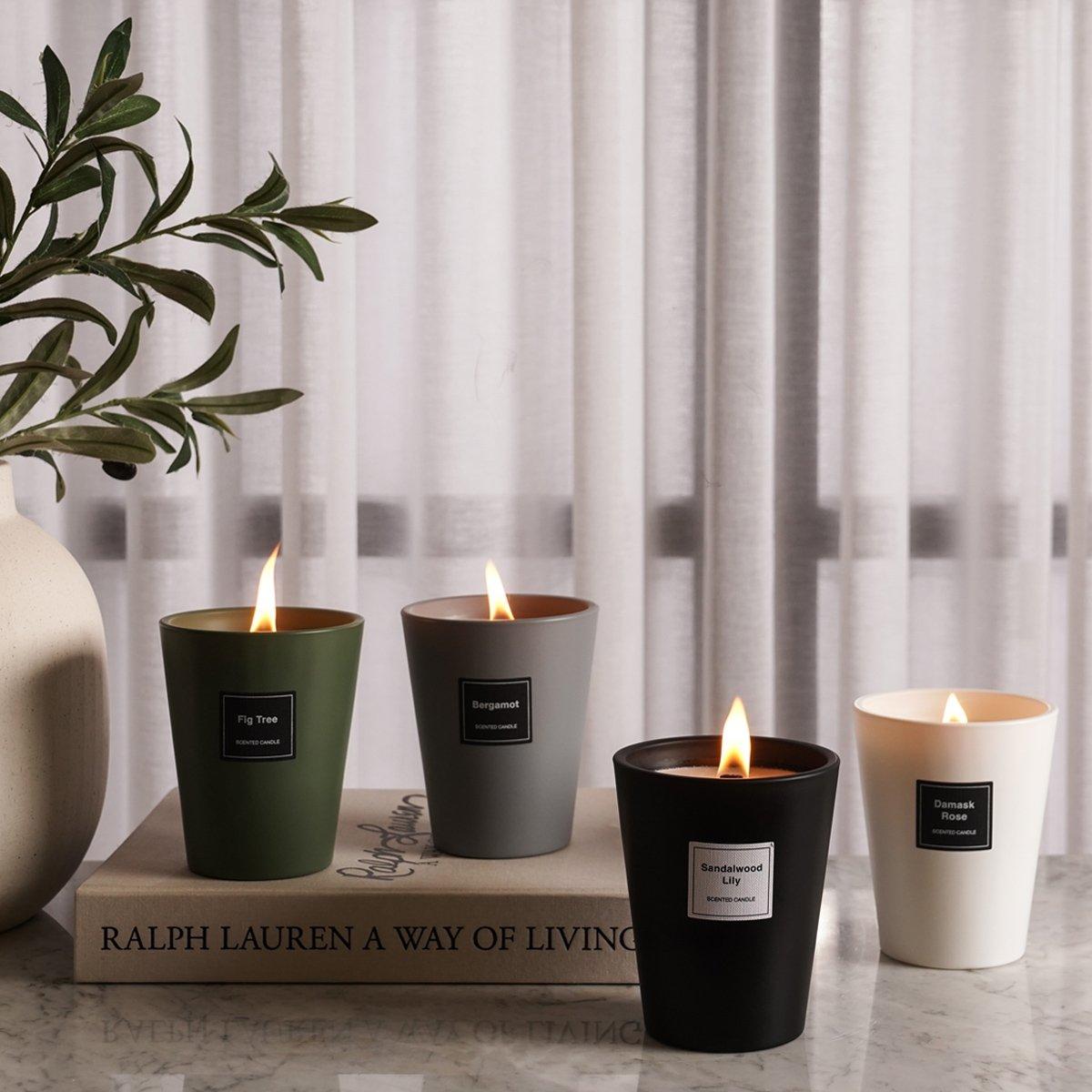 Fig Tree Scented Candle 350 gm
